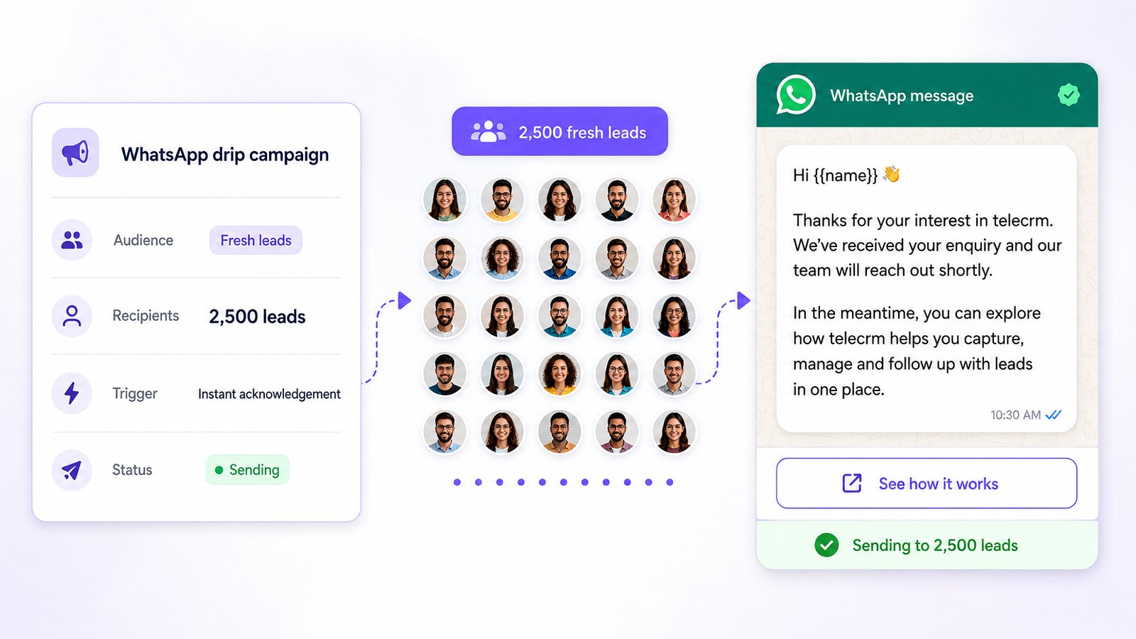 telecrm WhatsApp drip campaign sending to 2500 leads