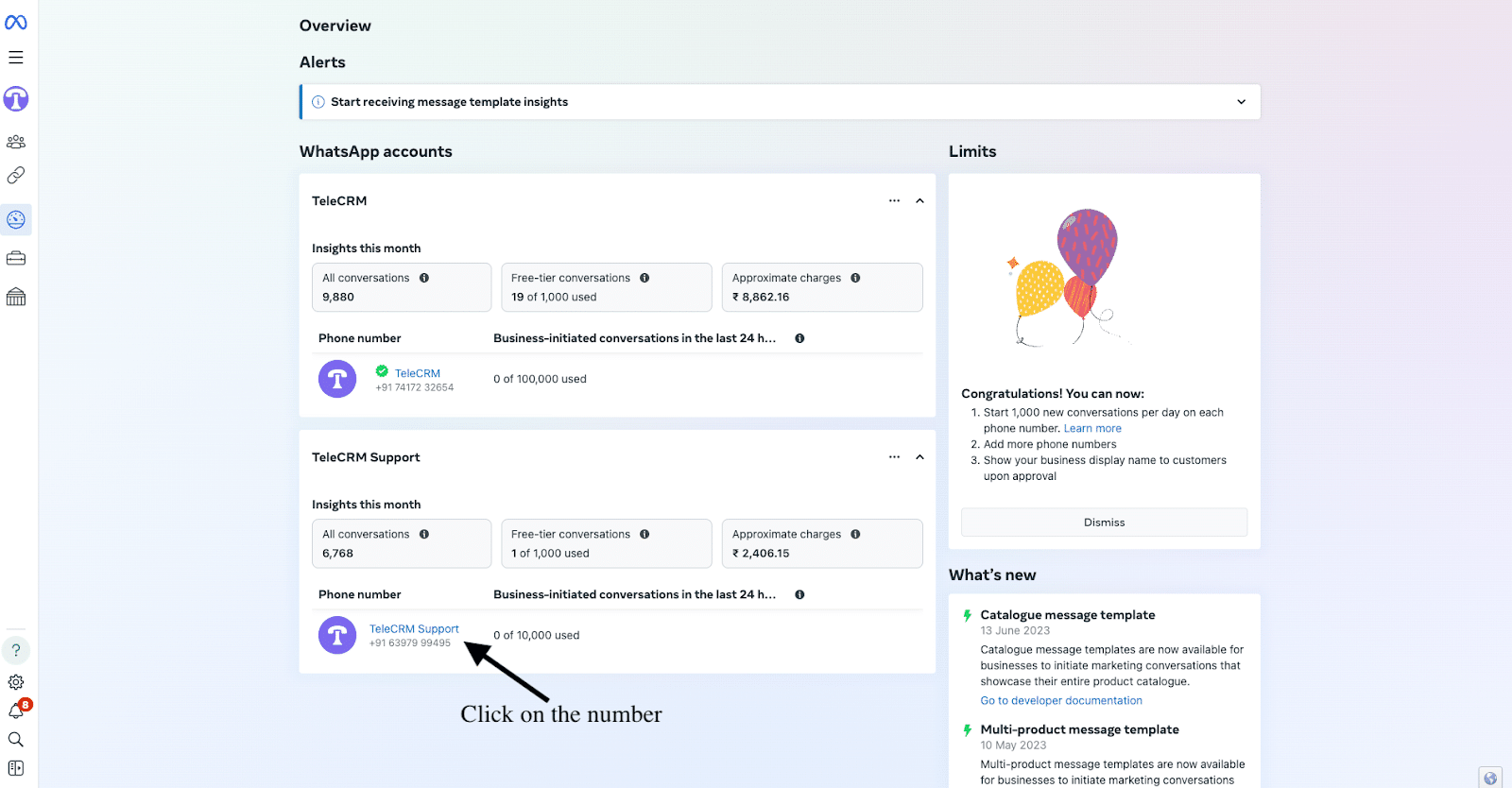WhatsApp Business manager overview tab