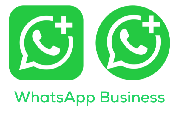 WhatsApp eCommerce Store: Your Complete Guide in 2026 1 WhatsApp Business New Logo